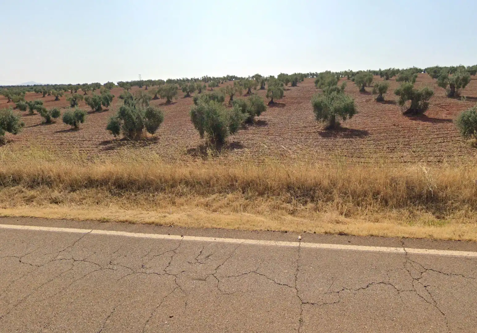 Terreni e lotti in vendita a Almendralejo, imagen 4