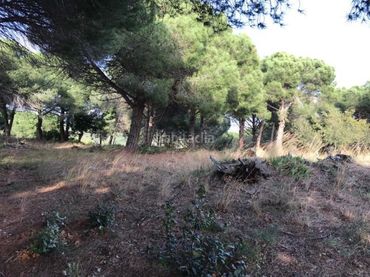 Grundstücke und Bauplätze zum Verkauf in Canet de Mar