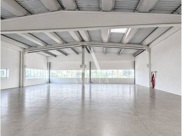 Nau industrial en venda a Calle Libra 61