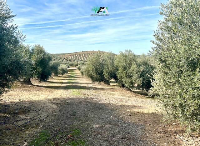 Terreno en Venta en N/A en Jimena