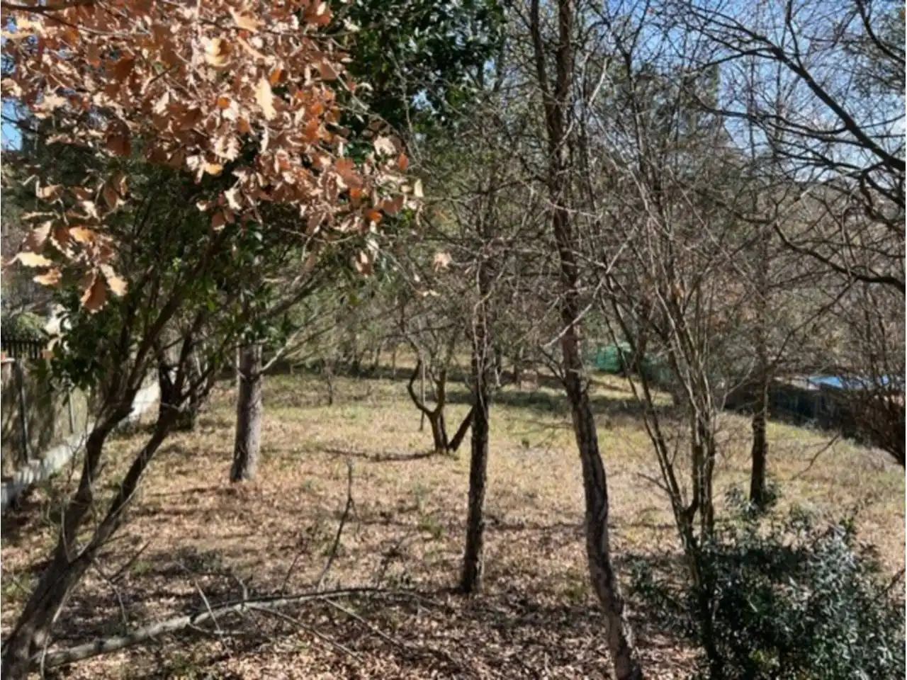 Land for sale in Riells i Viabrea
