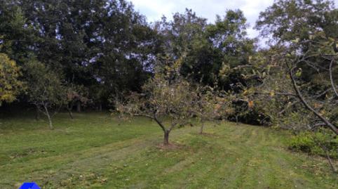 Photo 4 of House or chalet for sale in Cabaña, la - Carbayin, San Claudio - Trubia - Las Caldas, Oviedo