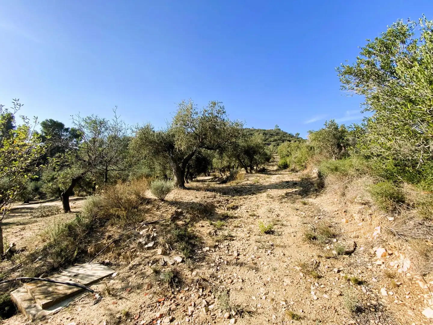 Casa rústica en venta en de les Valls, imagen 10
