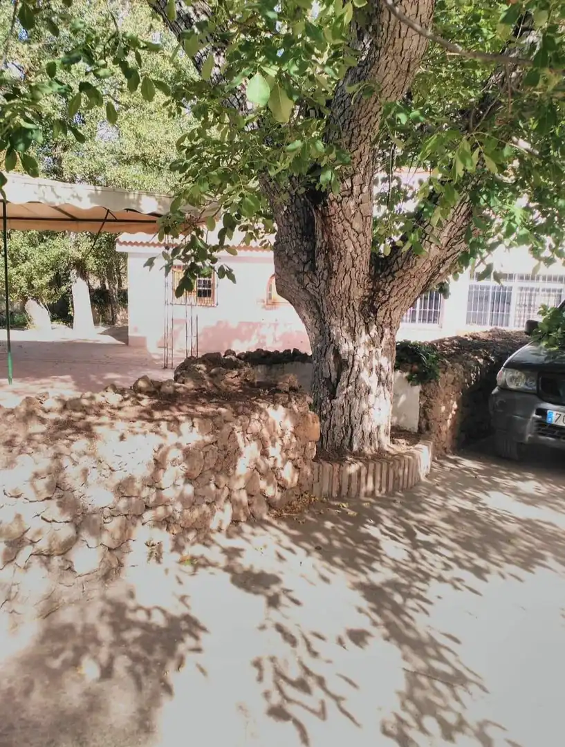 Vista exterior de Finca rústica en venda en Antequera amb Jardí privat