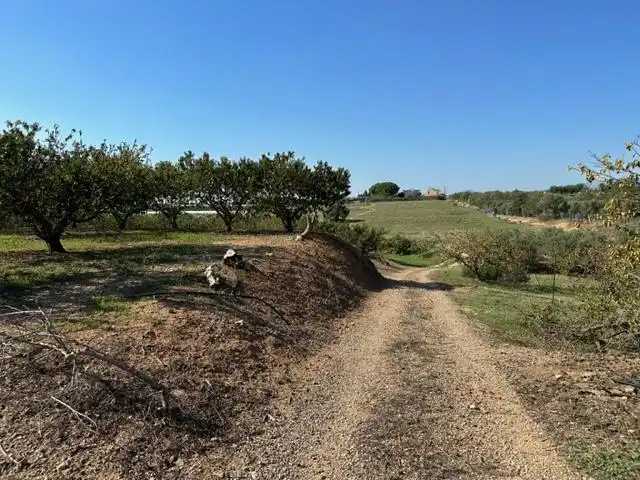 Terrenys i solars en venda a DEL REMEI, imagen 25