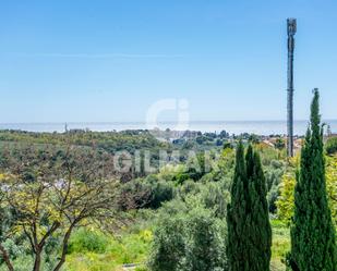 Vista exterior de Casa o xalet en venda en Benahavís amb Aire condicionat, Jardí privat i Terrassa