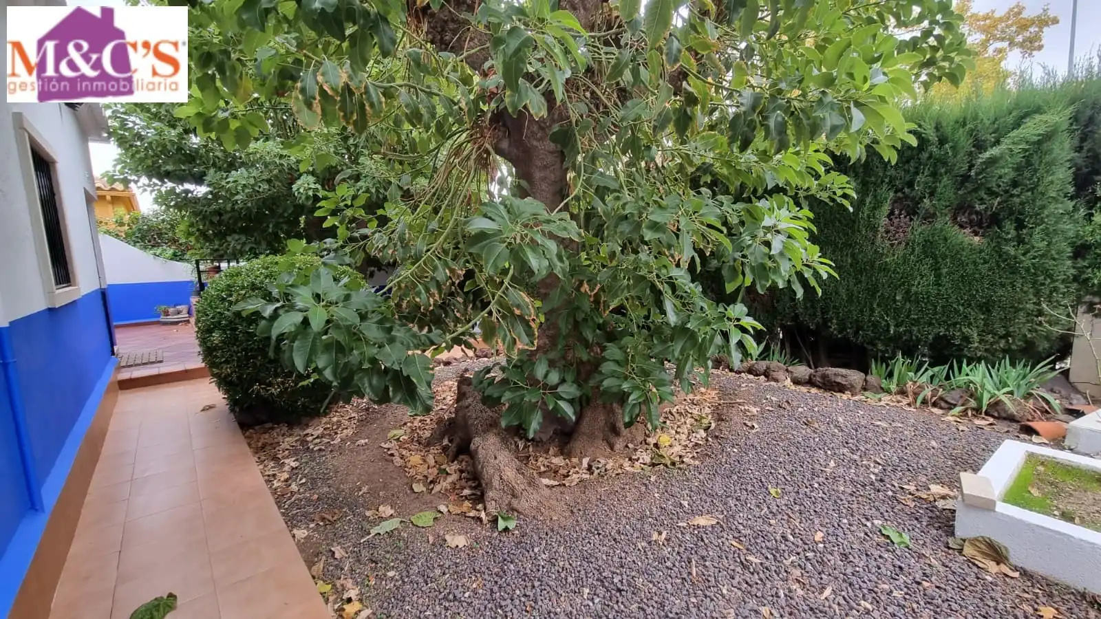 Jardí de Casa o xalet en venda en Puertollano amb Aire condicionat, Calefacció i Jardí privat