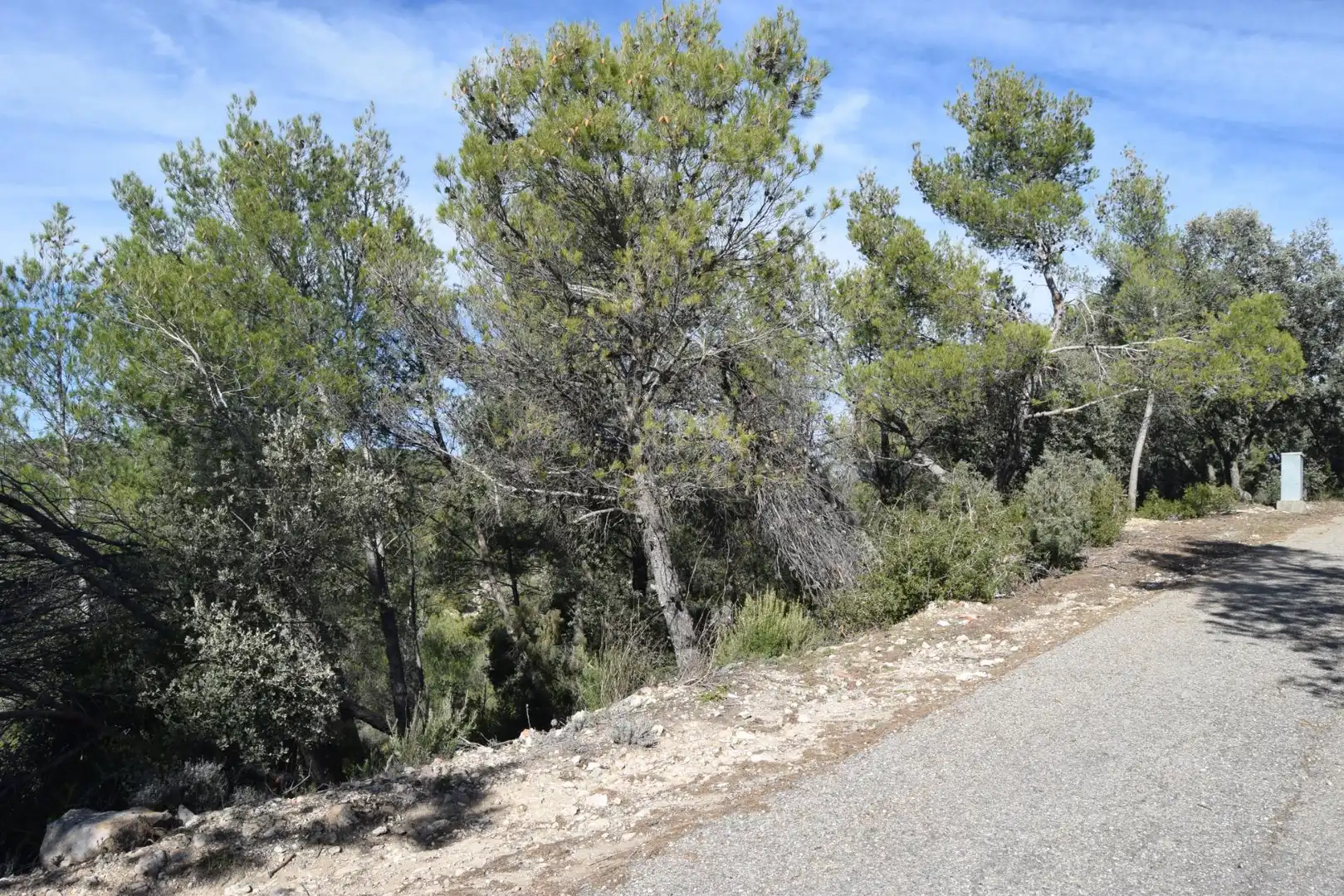 Residential land for sale in NUEVA SIERRA BX, imagen 5