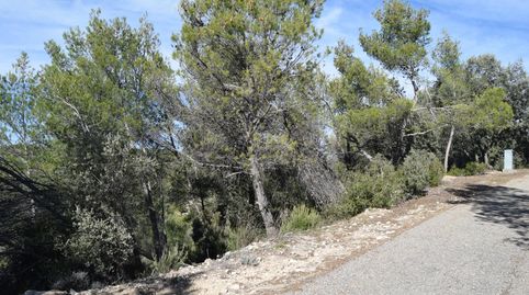 PARCELA CON VISTAS AL VALLE DEL TAJO, immagine 5