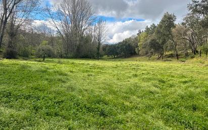 Land for sale in Galaroza