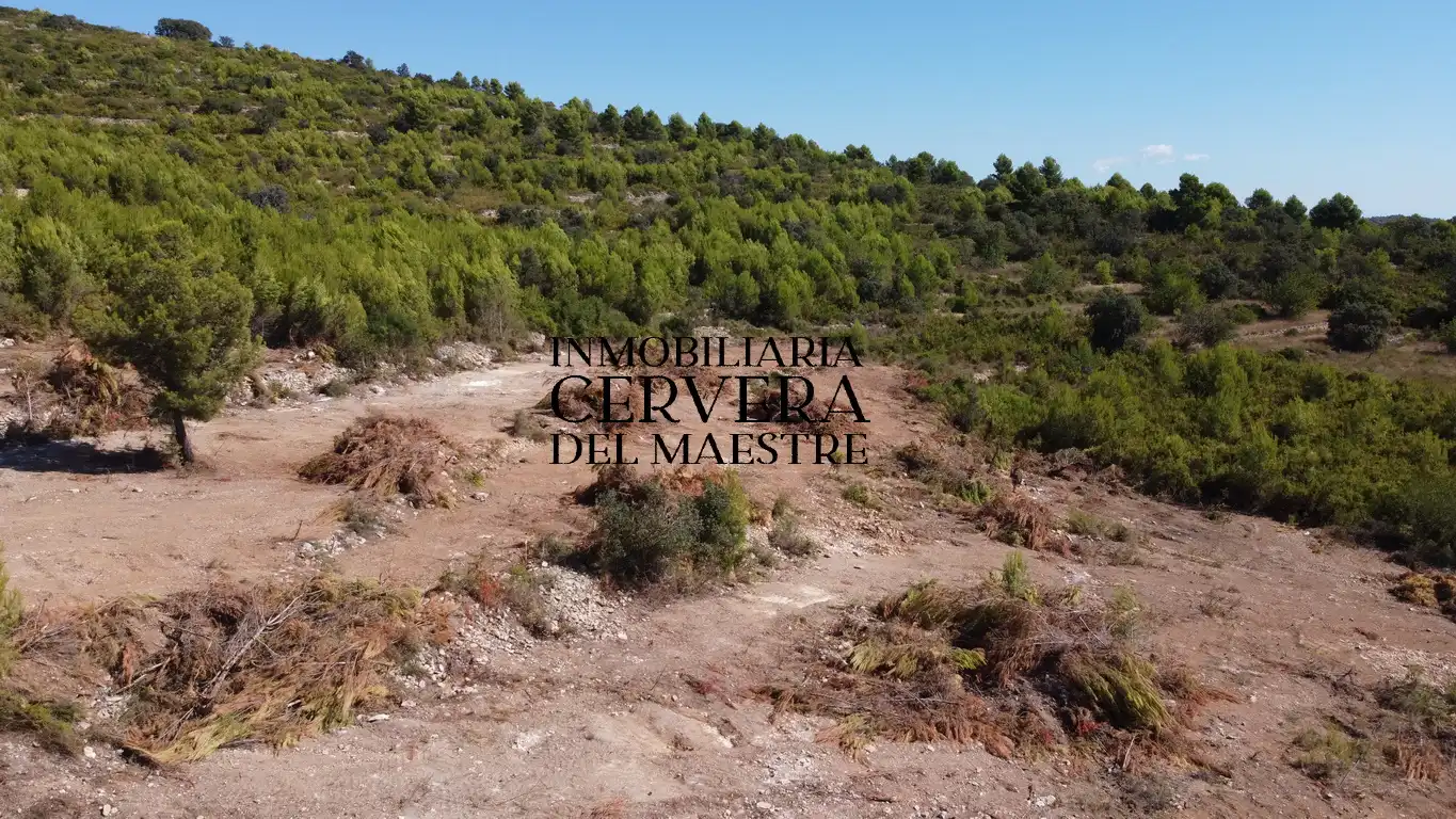 Terreno rustico in vendita a Cervera del Maestre, imagen 3