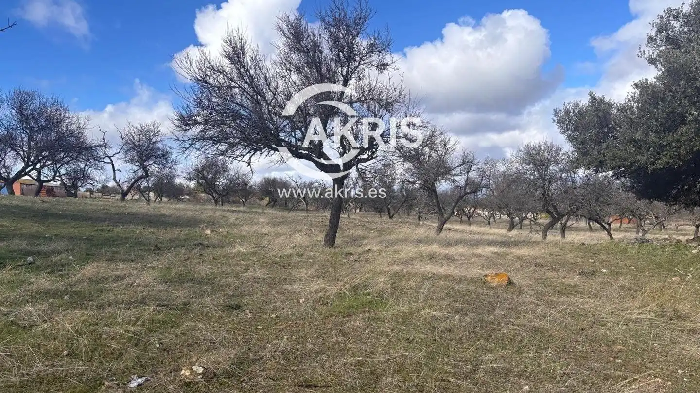 Terreno rustico in vendita a Arrabal Cerro Palos, imagen 6