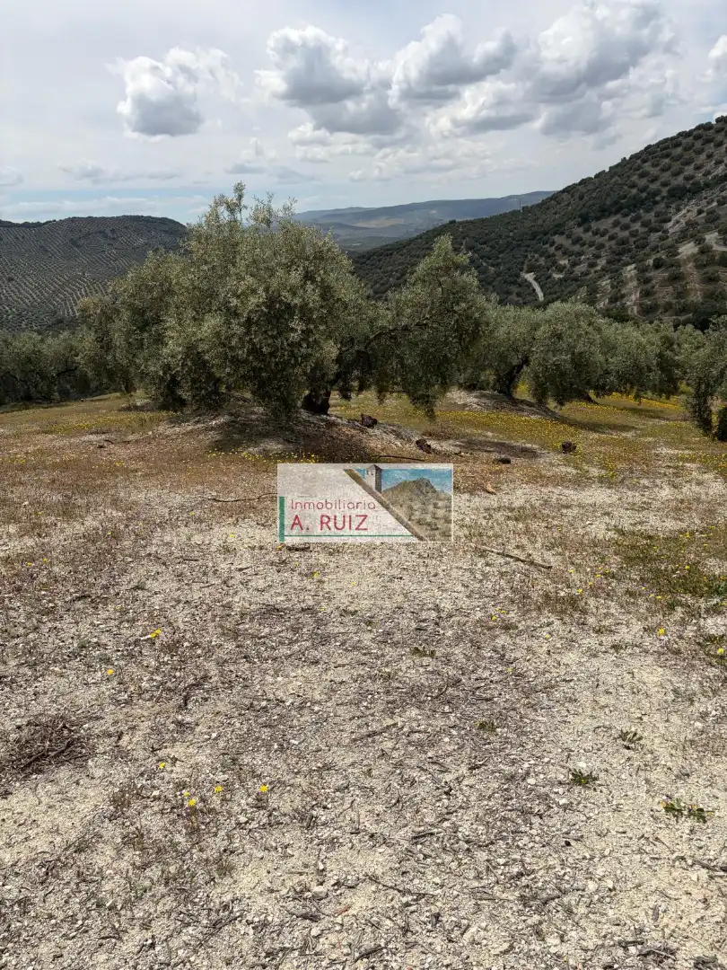 Rural land for sale in Iznájar, imagen 6