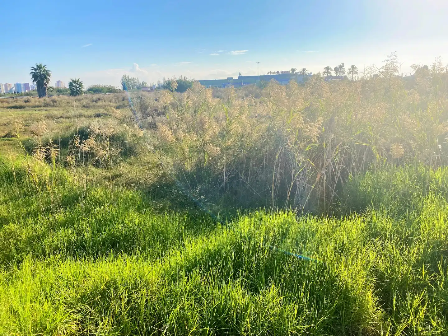 Terreno rustico in vendita a Carrer Estació 3, imagen 9