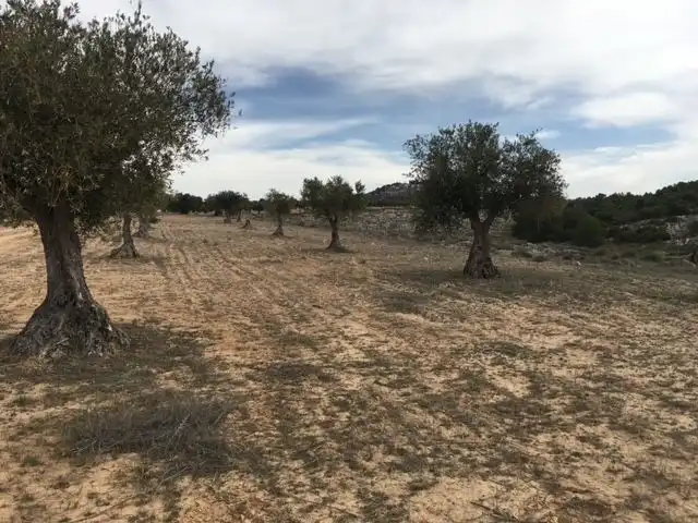 Rural land for sale in Diseminado Casasola Cm 691, imagen 3