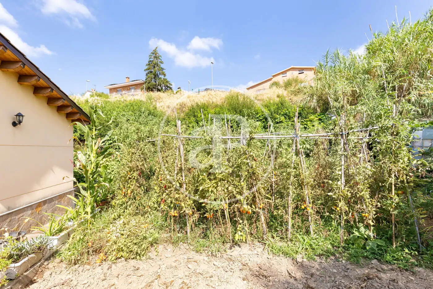 Houses for sale in Sant Muç