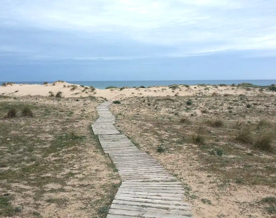 Casa a schiera con piscina in vendita a Oliva Playa, imagen 43