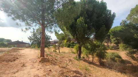 OPORTUNIDAD Parcela de 1250m2 con licencia, proyecto y préstamo hipotecario, immagine 4