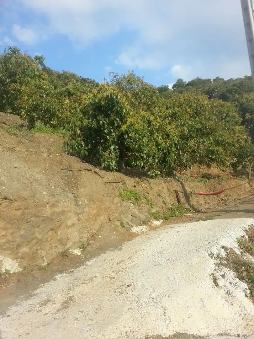 Terreni e lotti in vendita a Almuñecar centro, imagen 3
