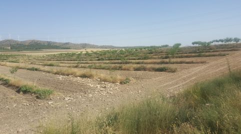 Foto 5 de Terreny en venda a Chinchilla de Monte-Aragón, Albacete