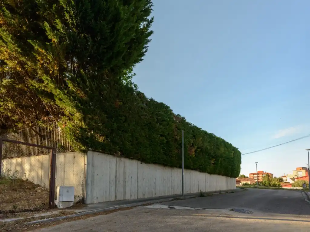 Maison à vendre à Avenida Olimpia 5, imagen 26
