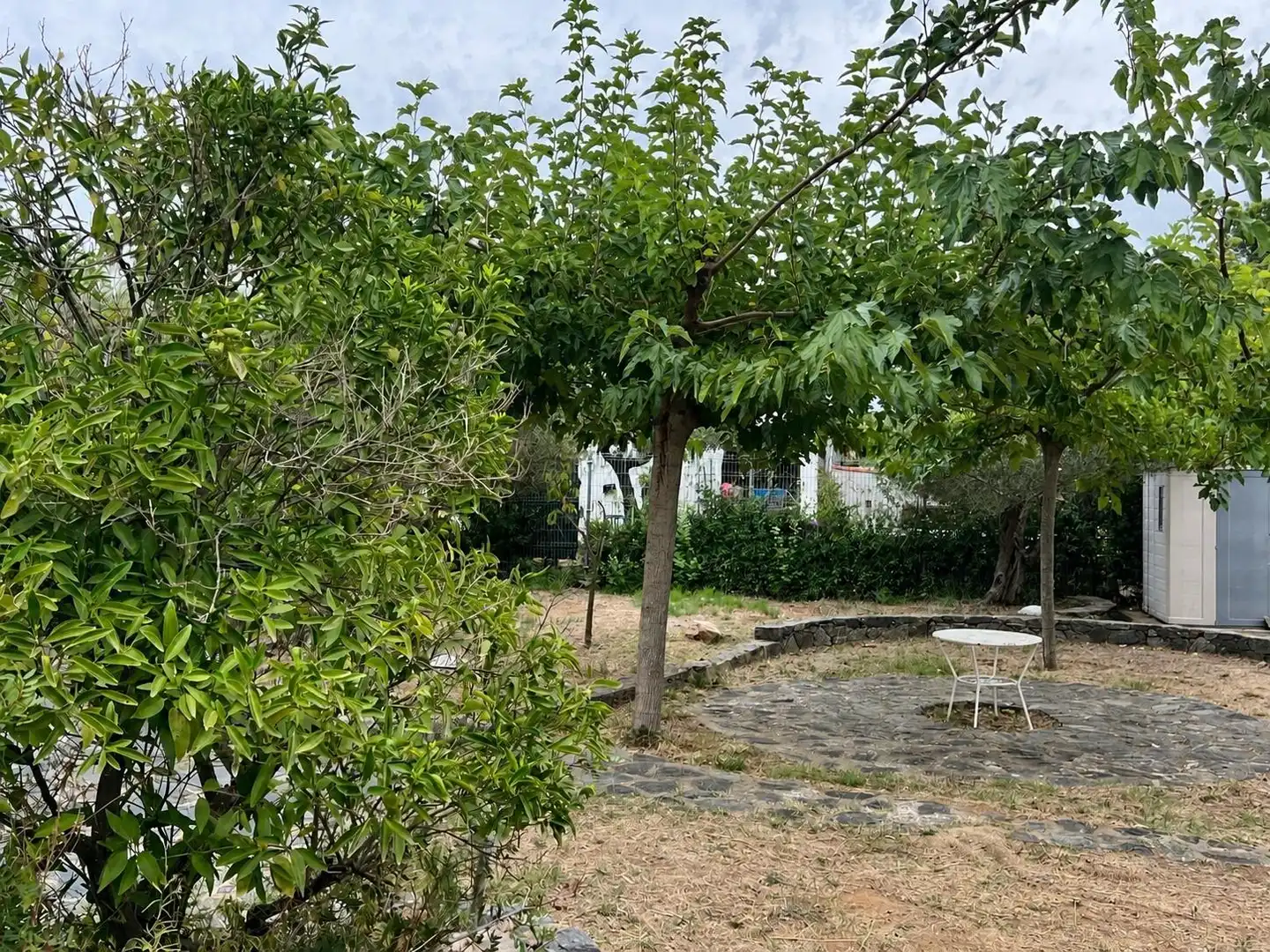 Pis amb jardí en venda a Carrer D'OSONA, imagen 22