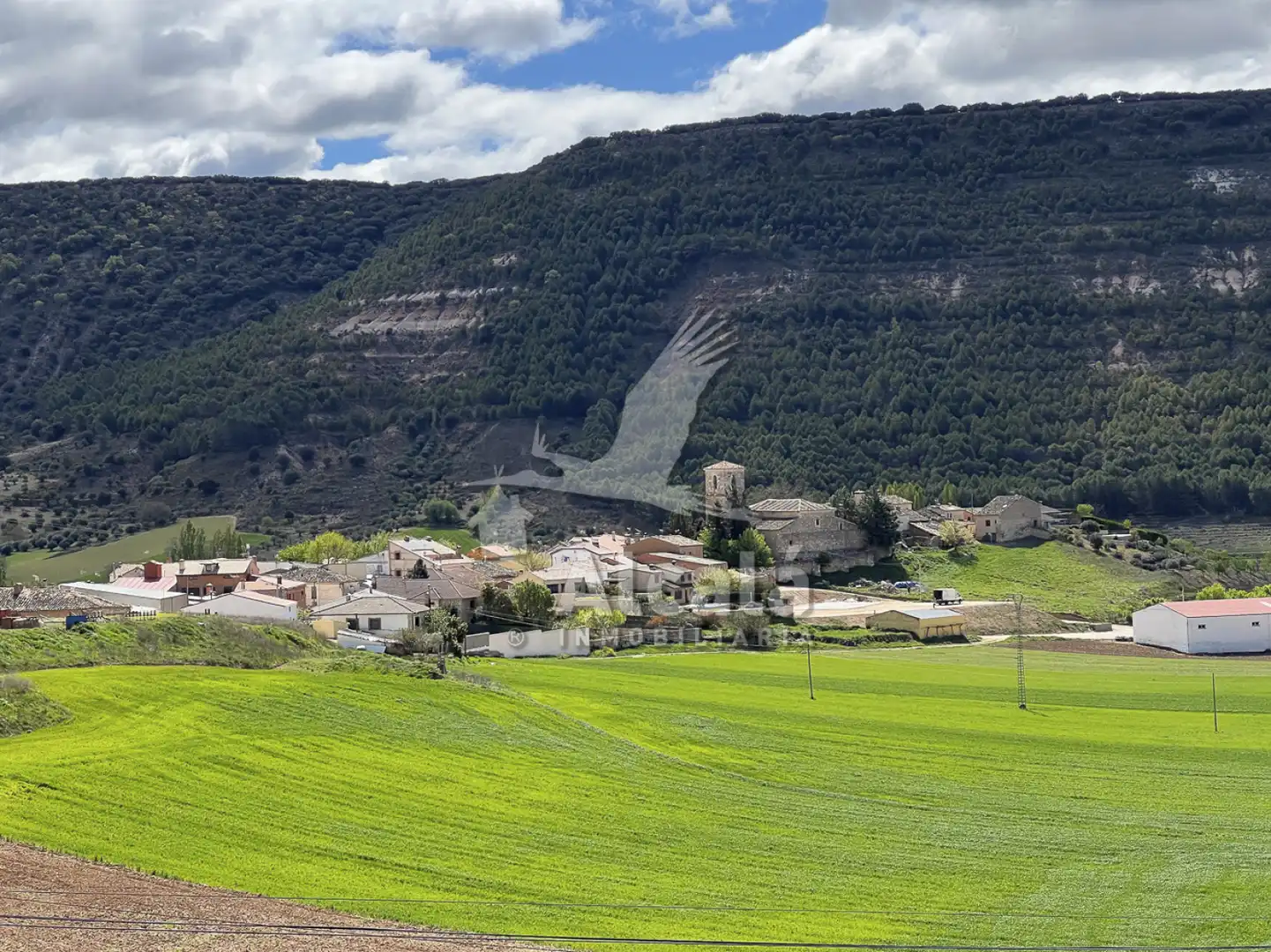 Vista exterior de Casa o chalet en venta en Utande