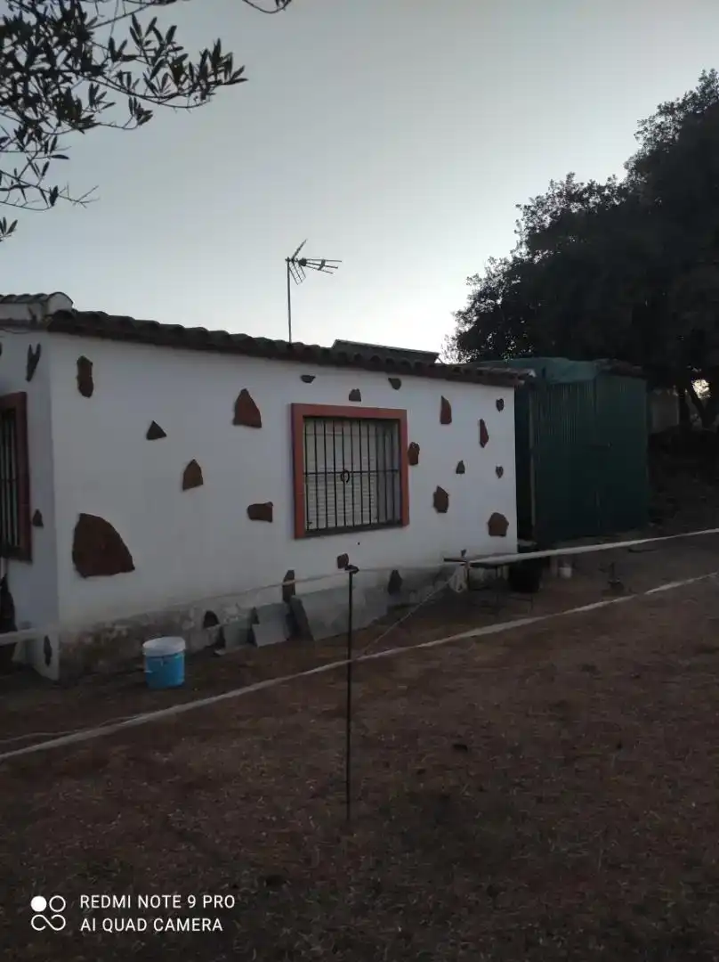 Exterior view of Land for sale in Alanís