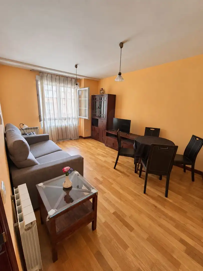 Living room of Flat for rent in Sahagún, León