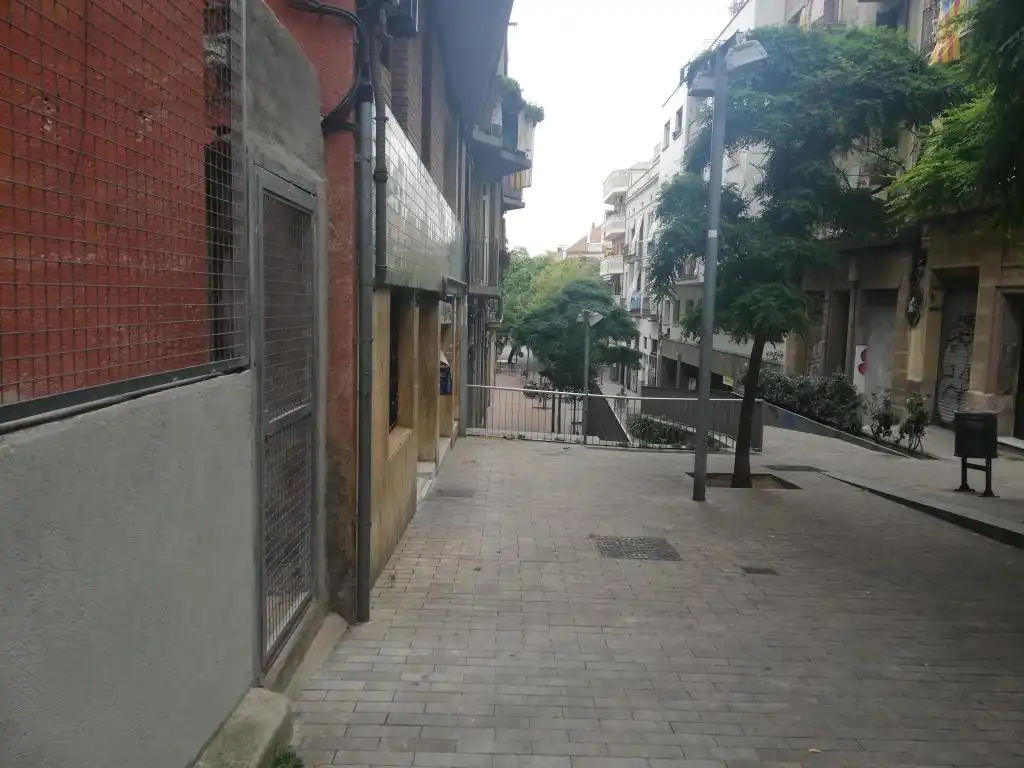 Terreno rustico in vendita a C/ Concordia, imagen 6