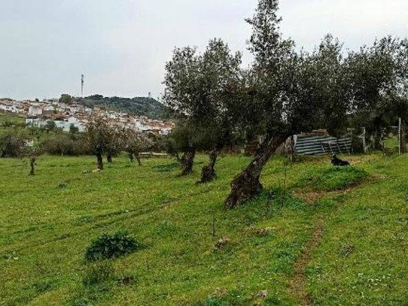 Terreno en Venta en Carretera Alconchel, 4 en Higuera de Vargas