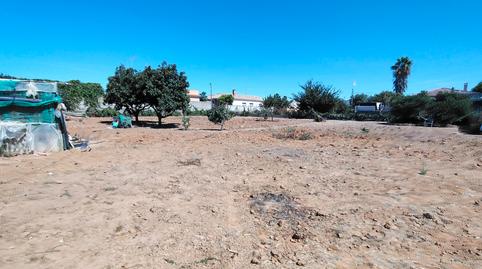 Foto 3 de Finca rústica en venda a La Jara, Sanlúcar de Barrameda
