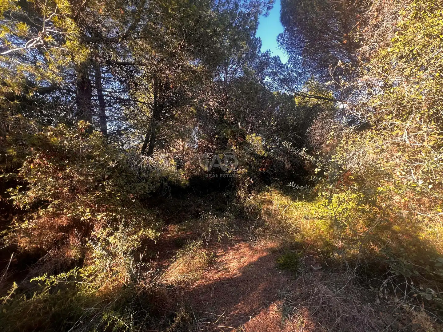 Residencial en venda en Palamós