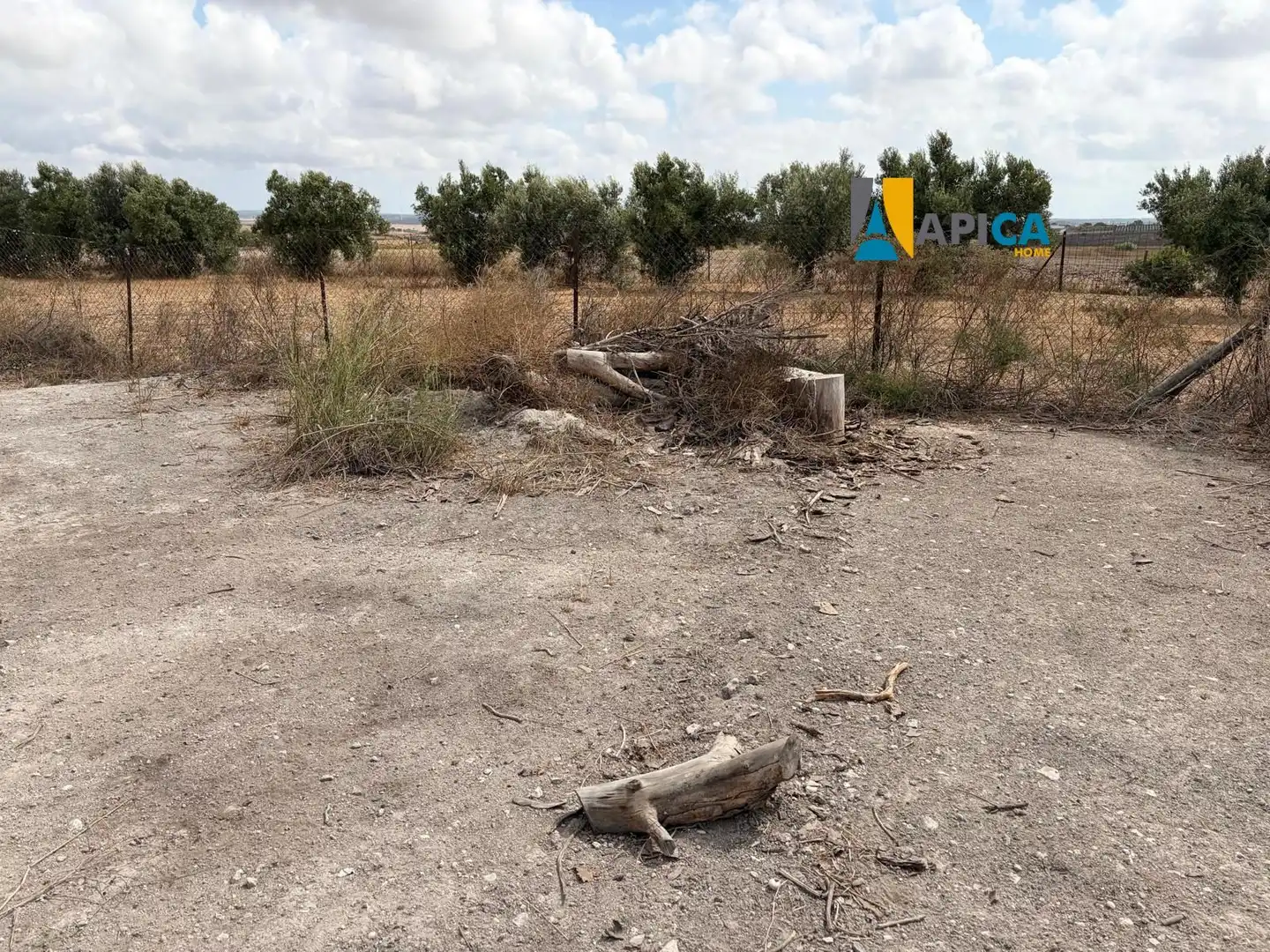 Rural land for sale in Los Franceses – La Vega, imagen 9