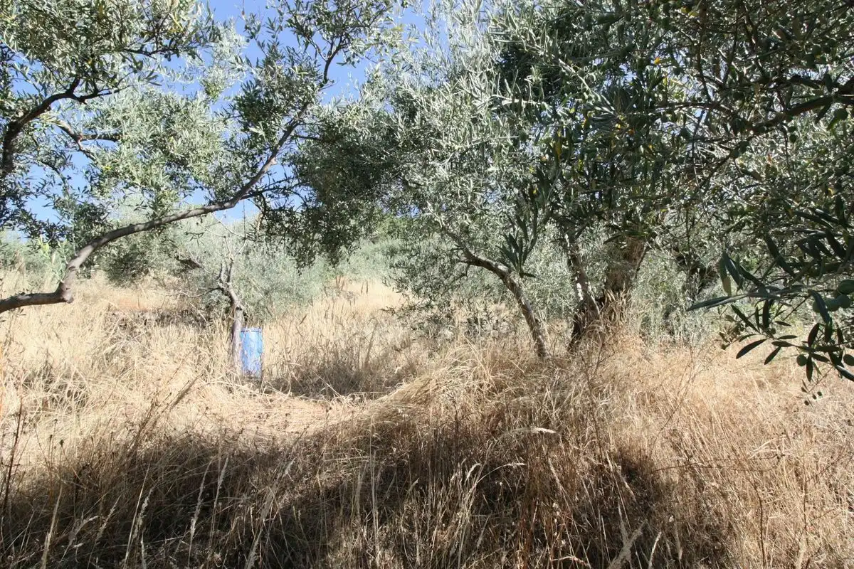 Terreni e lotti in vendita a Guisando, imagen 4