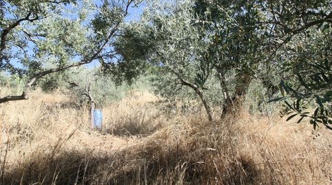 Foto 4 de Residencial en venda a Calle la Canal, 13, Guisando, Ávila