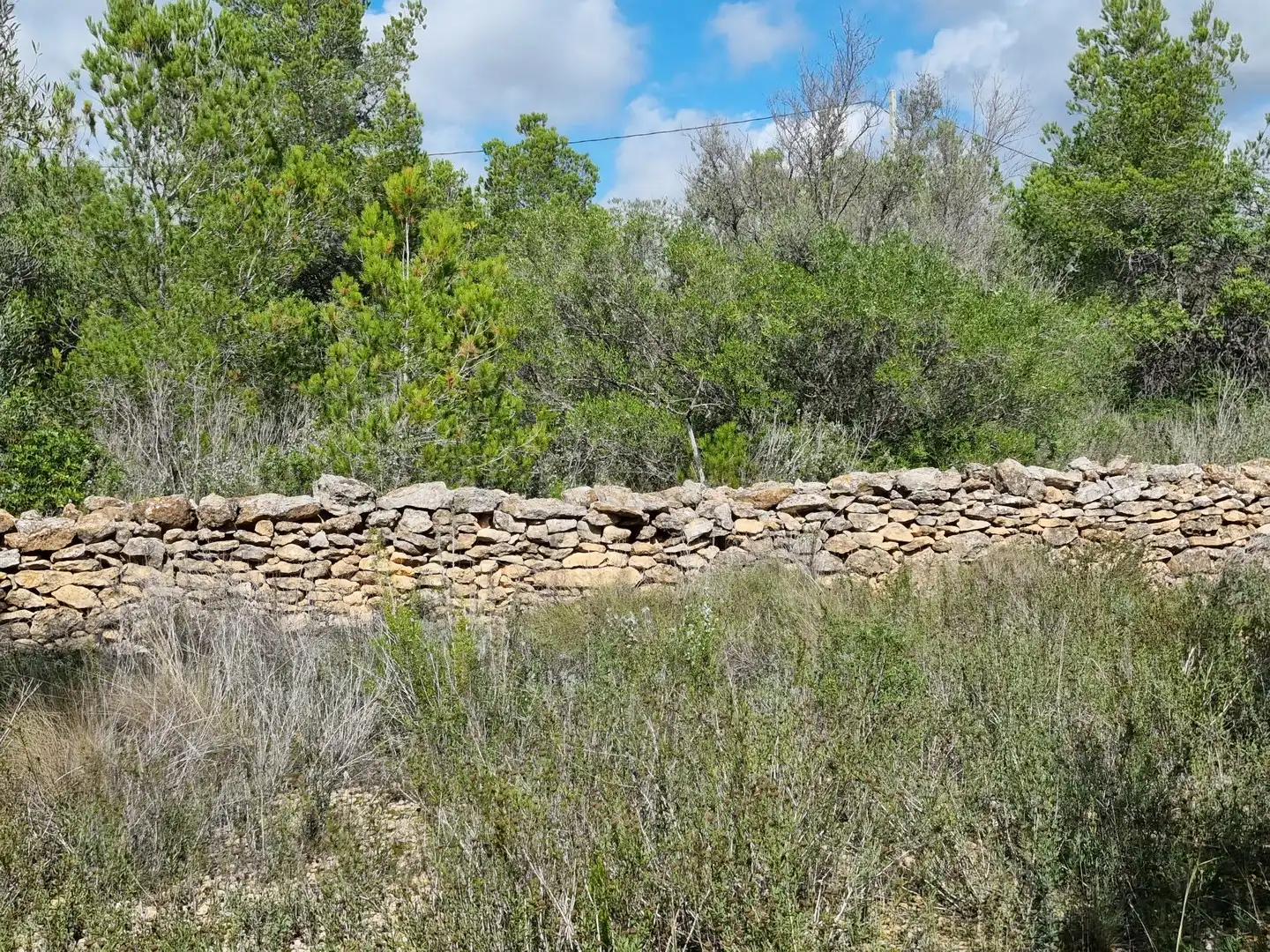 Terrain rustique à vendre à Carrer Andreu Llambrich 48, imagen 15