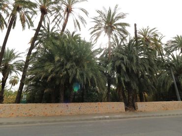 Terrenys i solars en venda a Orihuela ciudad