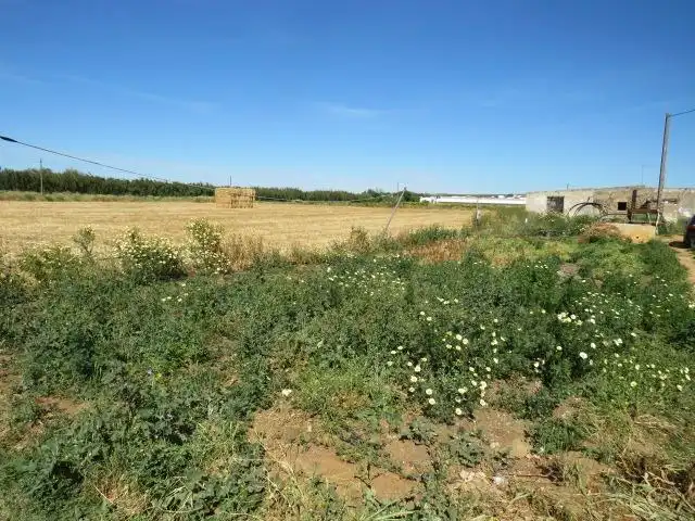 Rural land for sale in Barrio Nuevo, imagen 12
