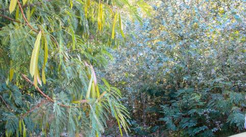 Foto 2 de Residencial en venda a Oliva Nova, Valencia