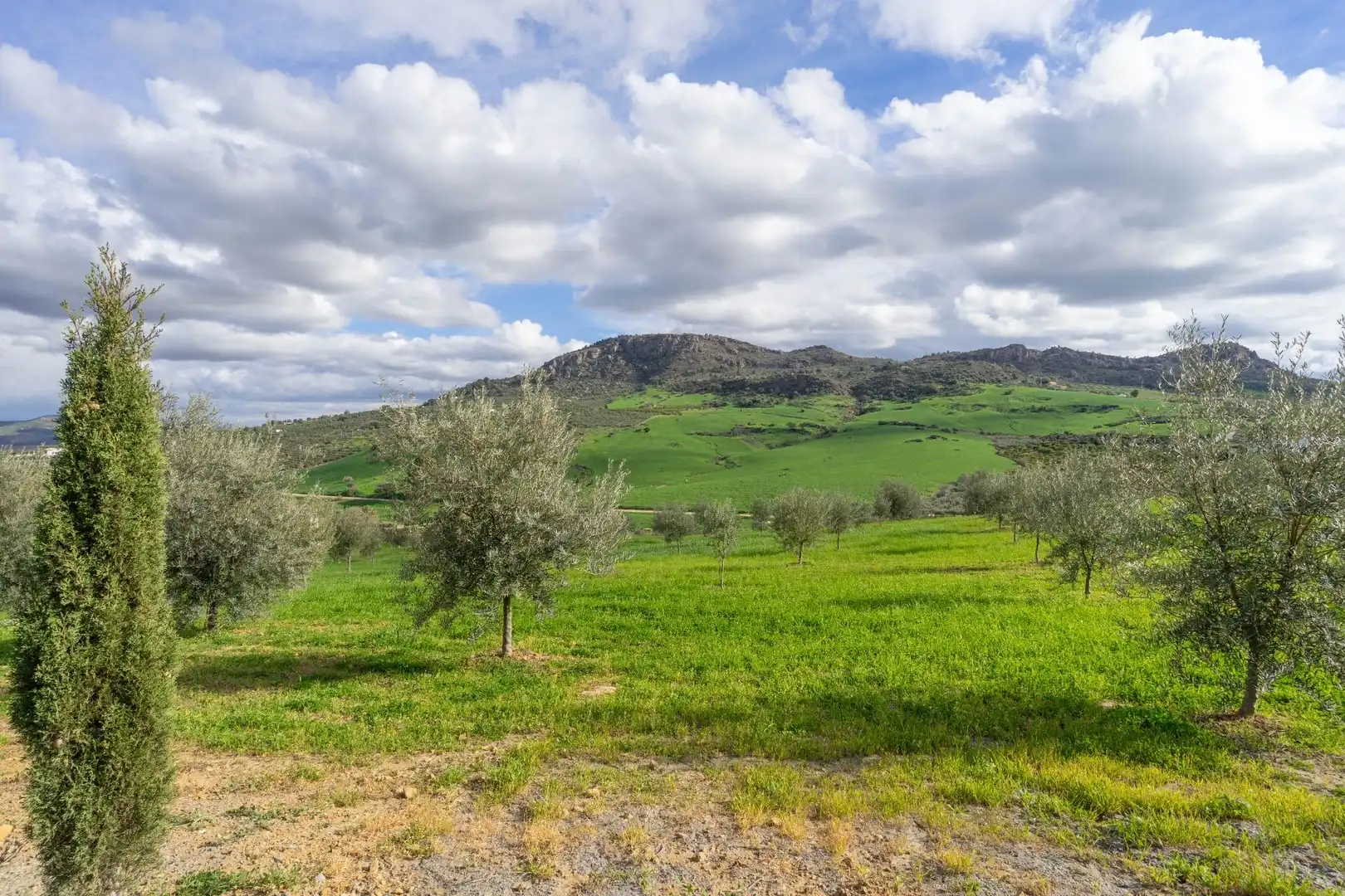 Villa zum Verkauf in Álora, imagen 69