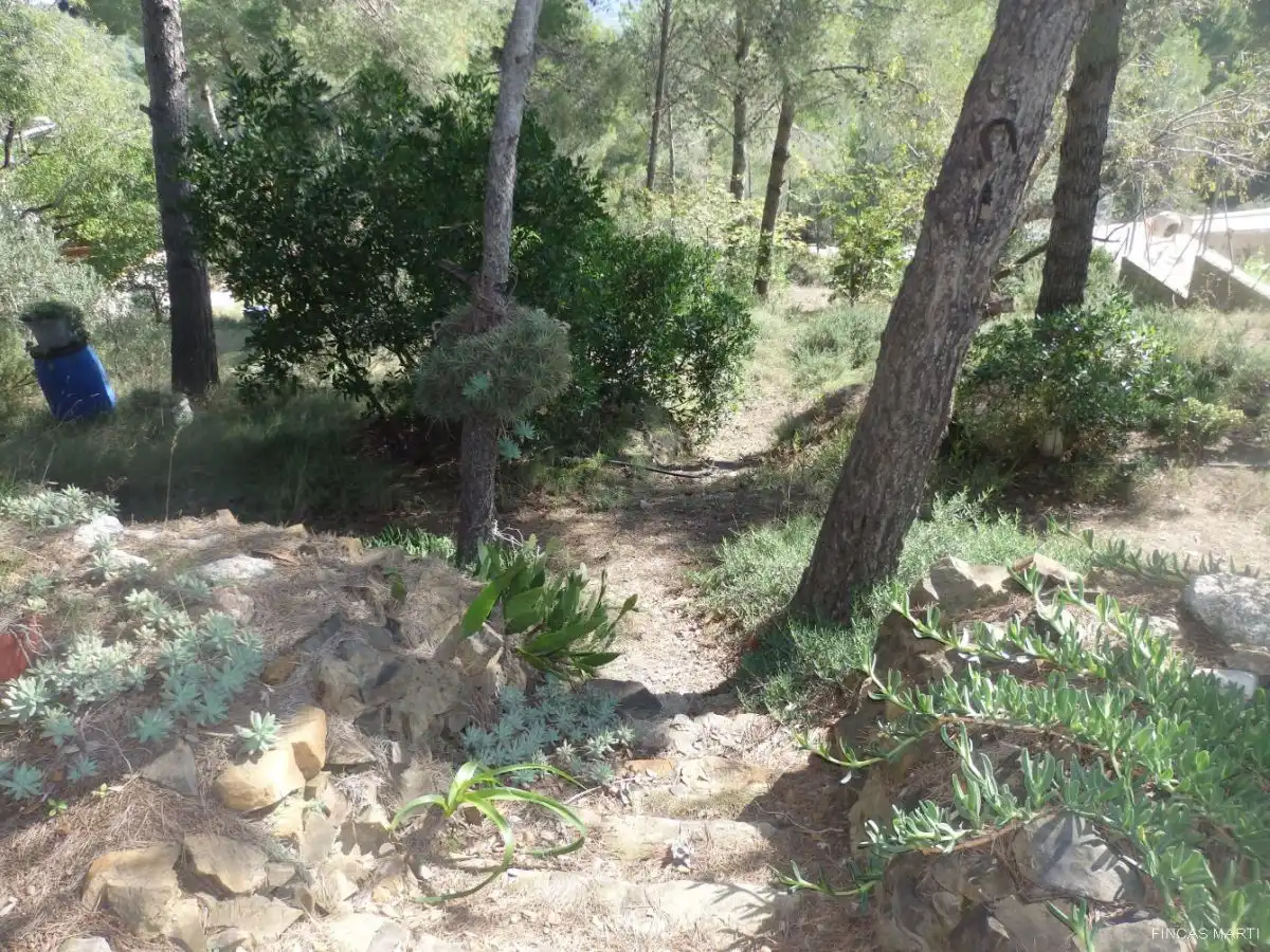 Terreno residenziale in vendita a Riudecanyes, imagen 6