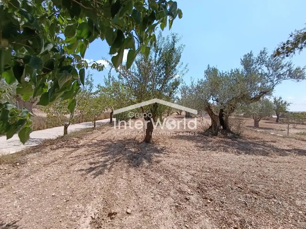 Country homes for sale in Ibi