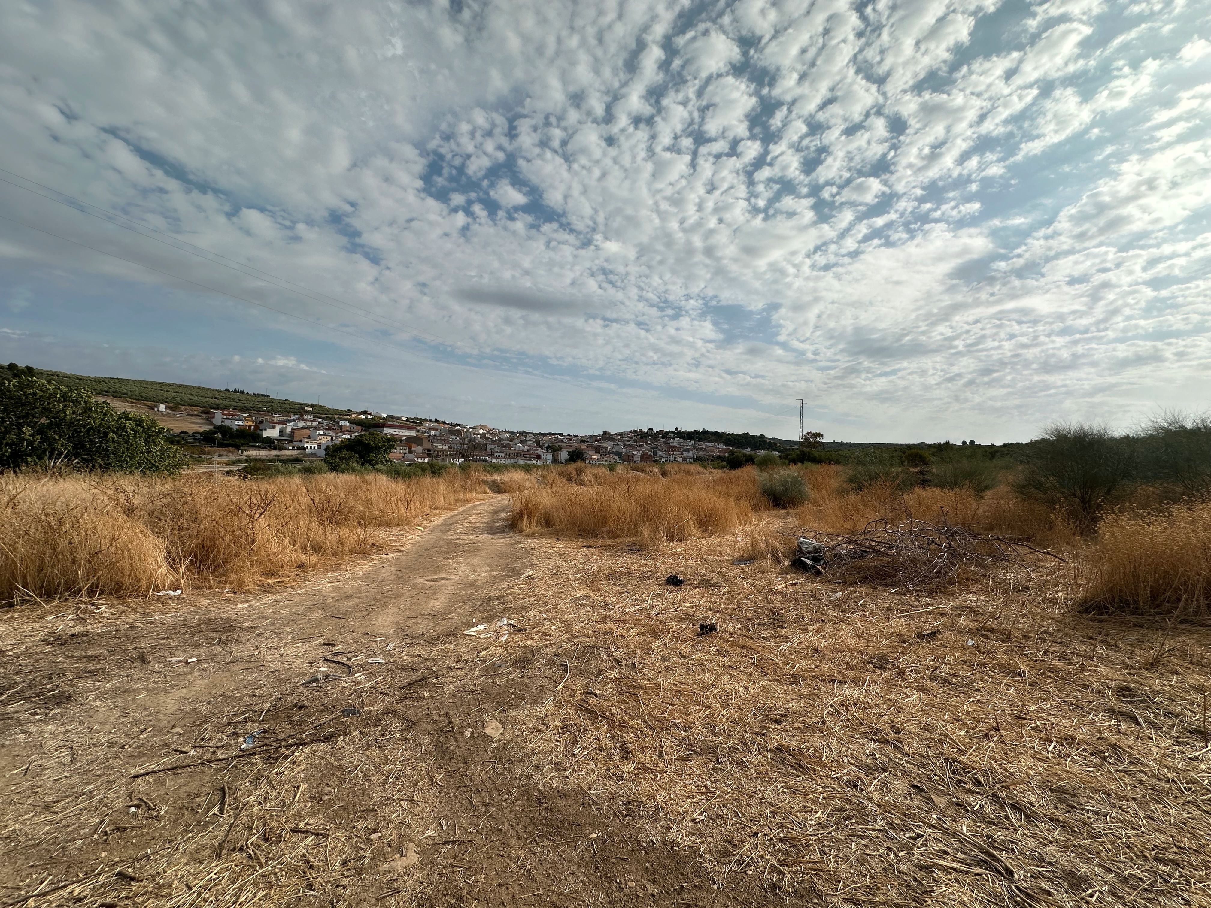Land for sale in Rus