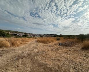 Land for sale in Rus