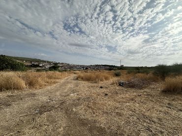 Terreno rustico in vendita a Calle Baeza 46