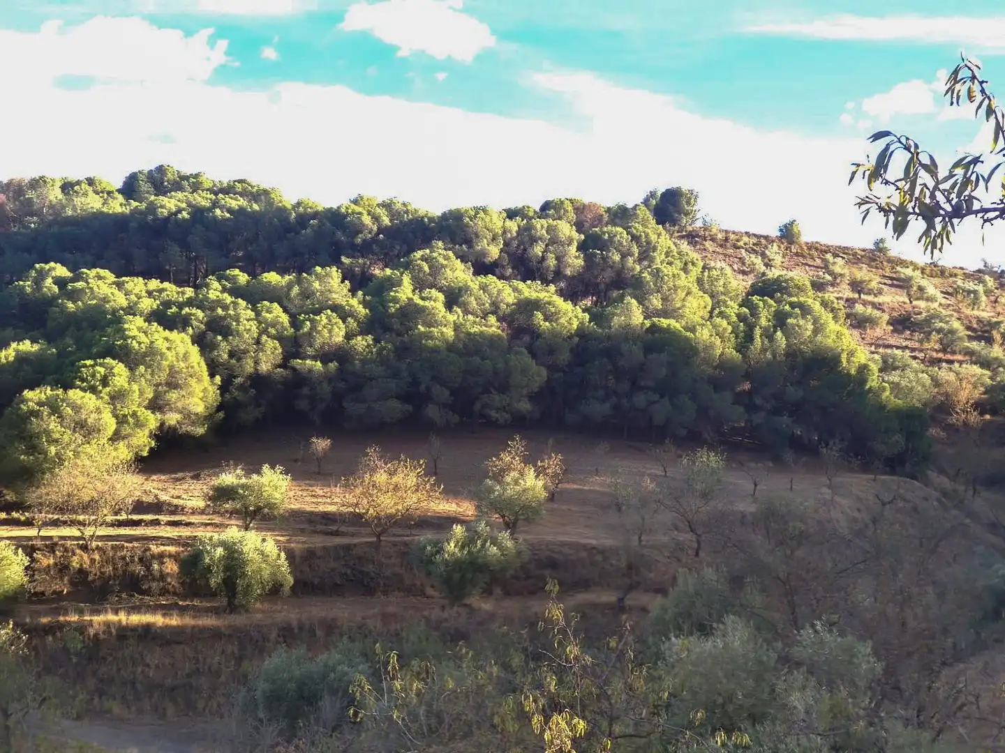 Rustikales Grundstück zum Verkauf in Polígono 3 Parcela 139 LAS PEQAS. VILLAMENA (GRAN, imagen 2