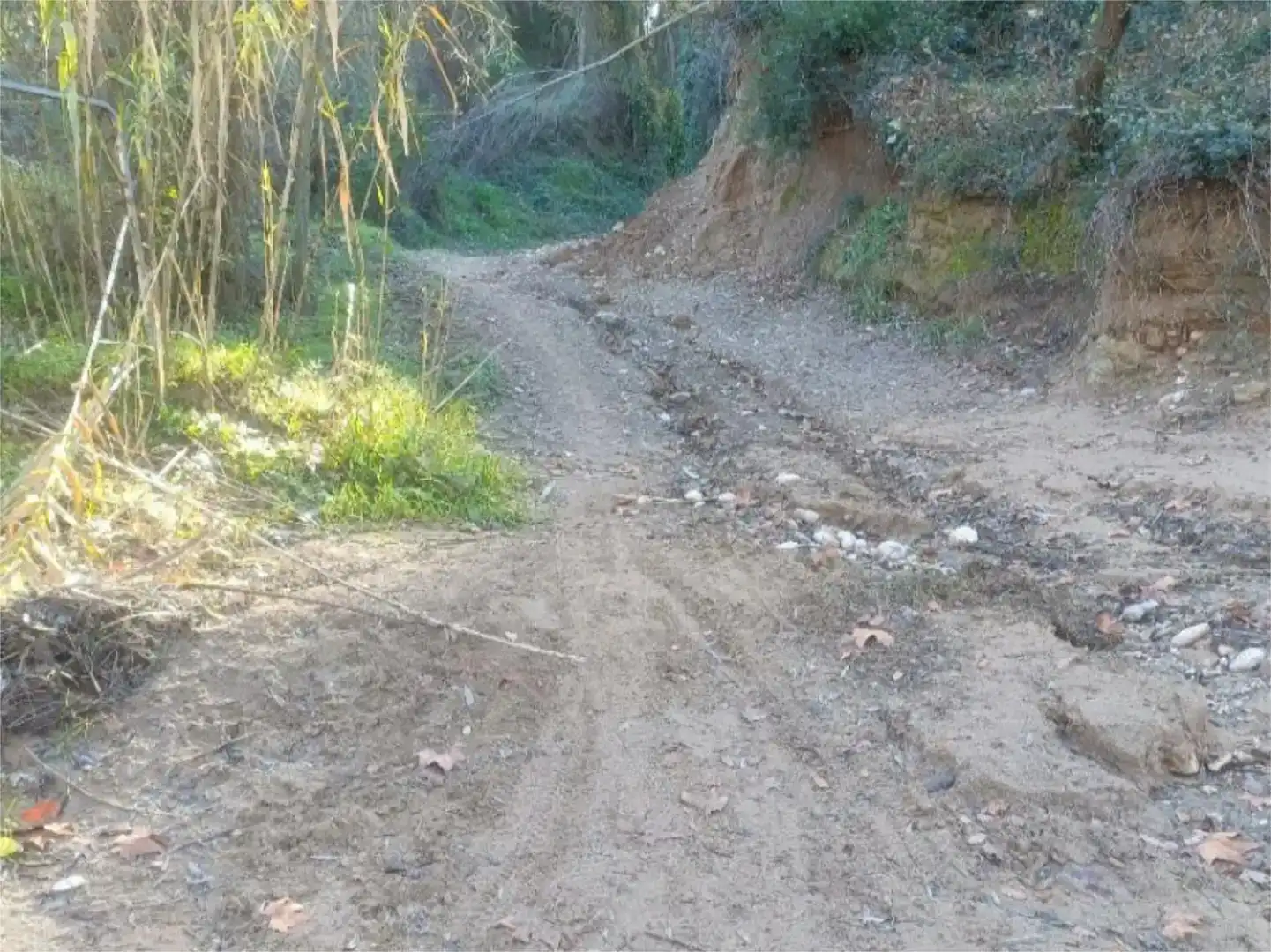 Vista exterior de Finca rústica en venda en Esparreguera