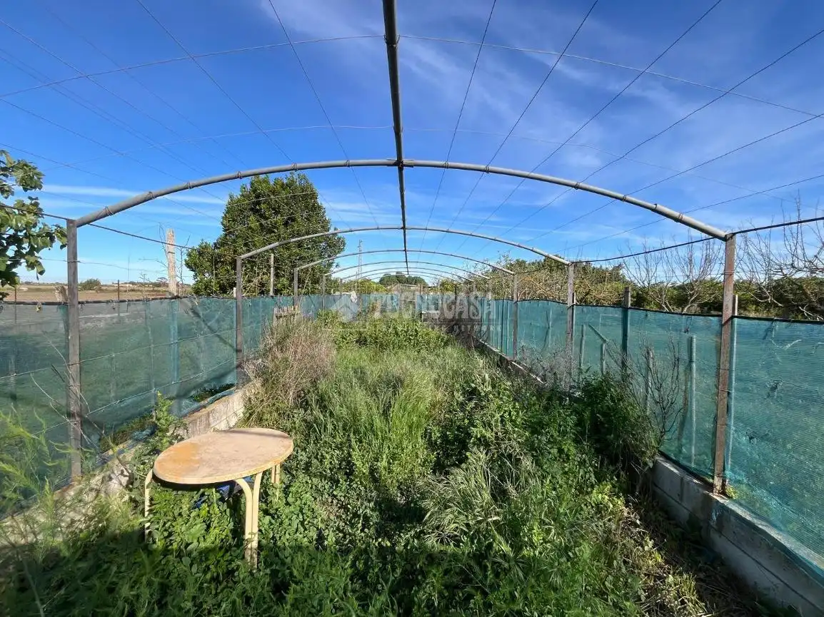 Terreno rústico en venta en Jerez norte - Montealto - Pozoalbero, imagen 9