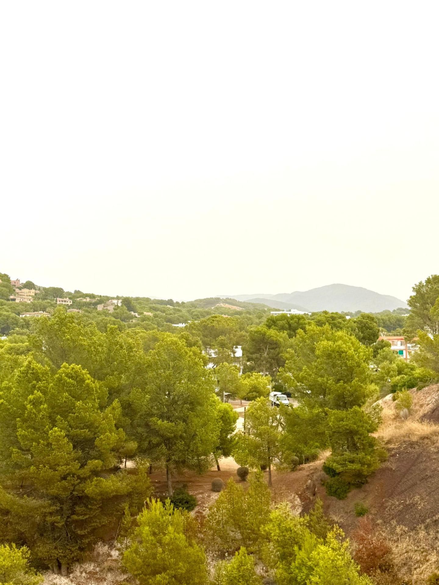 Exterior view of Study for sale in Calvià  with Air Conditioner, Private garden and Community pool